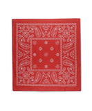 ECLIPSE PAISLEY BANDANA