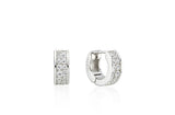 Essence Silver (W) Moissanite Double Wave One-Touch Earrings