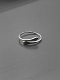 Silver Ring 02