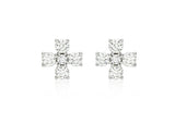 Essence Silver (W) Moissanite Band Earrings