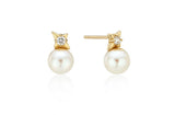 Nova 10K(Y) Pearl Earrings