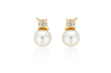 Nova 10K(Y) Pearl Earrings
