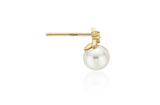 Nova 10K(Y) Pearl Earrings
