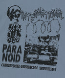 INTERNATIONAL RAGLAN LS TEE