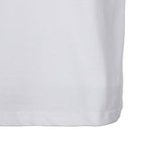 DSMT METAL LOGO TOP