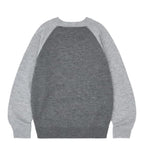 Raglan Two-Tone Knit Pullover
