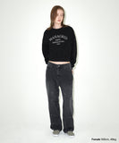 ARCH DEPT CROP SWEATSHIRT