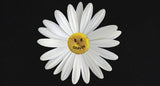 Small Daisy Flower Logo Smile Sweatshirt