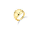 Champagne Full Moon Silver Wide Ring