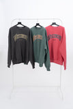 Wisconsin Pigment Sweatshirt