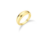 Champagne Full Moon Silver Clean Ring