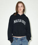 VARSITY LOGO CROP HOODIE