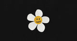 Flower Embroidered Pique Short Sleeve T-shirt