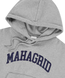 VARSITY LOGO CROP HOODIE