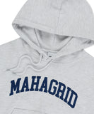 VARSITY LOGO CROP HOODIE