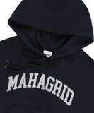 VARSITY LOGO CROP HOODIE