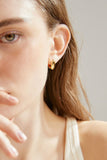 Sleek Shine Earrings