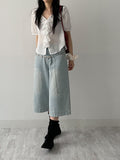 Frill V-Neck See-Through Blouse