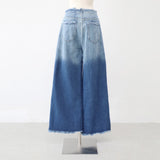 Lipe Gradient Washing Pants