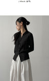 Block High Neck See-Through Blouse