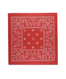 ECLIPSE PAISLEY BANDANA
