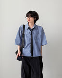 Pinto Stripe Crop Shirt