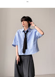 Pinto Stripe Crop Shirt