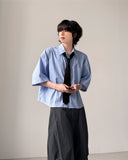 Pinto Stripe Crop Shirt