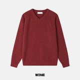 Hera V-neck knit