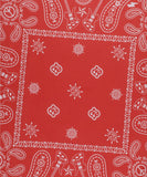 ECLIPSE PAISLEY BANDANA