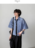 Pinto Stripe Crop Shirt