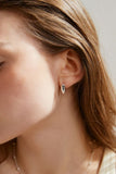Sleek Shine Earrings