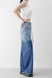 Lipe Gradient Washing Pants