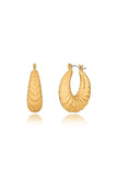 Haze Hoop Earring