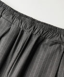Noah Double Stripe Banding Slacks