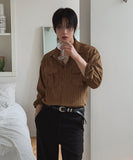 Wooden Stripe Western Crop Shirt