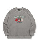 Serenity Raglan Pigment Sweatshirt