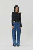 (W) STRIPE GRADATION WIDE DENIM PANTS