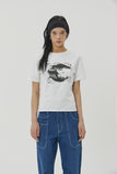 (W) COMPACT DISC HALF T