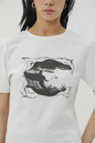 (W) COMPACT DISC HALF T