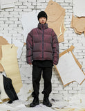 Two-tone Reversible Down Short Padded Coat