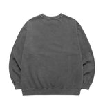 UNIVERSITY PIGMENT SWEATSHIRT