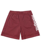 BIG LOGO MESH SHORT