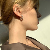 Valentie Cubic Earrings